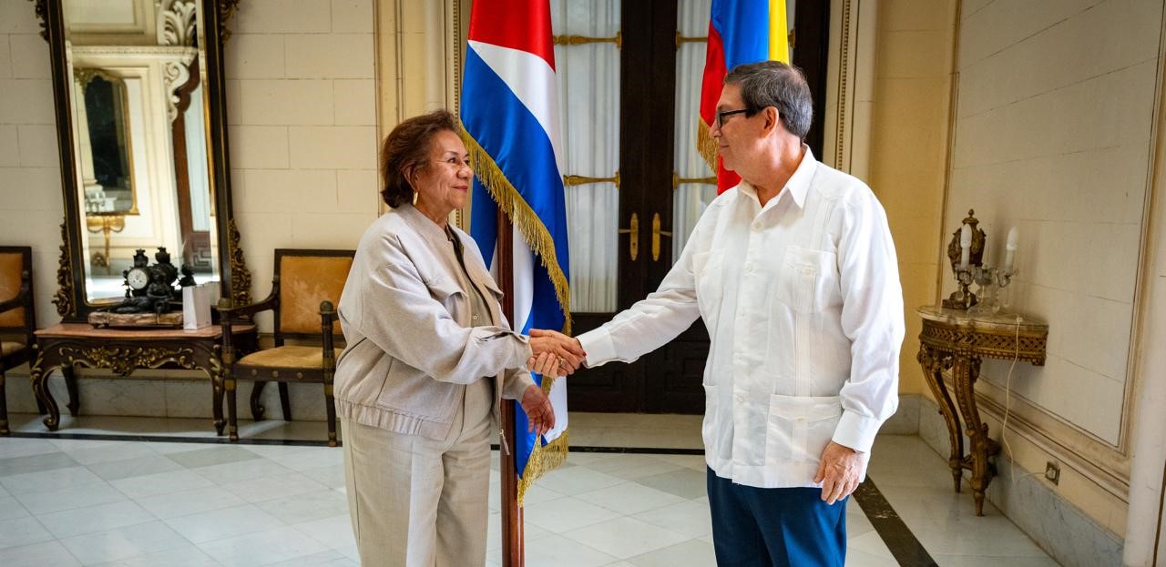 Canciller (e) Rosa Yolanda Villavicencio Mapy adelanta agenda diplomática de alto nivel