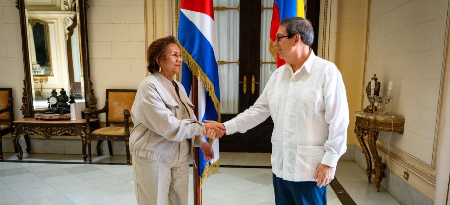Canciller (e) Rosa Yolanda Villavicencio Mapy adelanta agenda diplomática de alto nivel